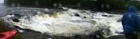20060909_Bastiscan_002.jpg