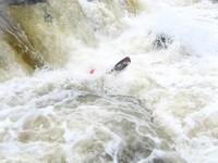 20060909_Bastiscan_038.JPG