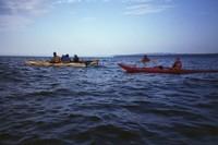 20060728_GrandeBergeronne_020.jpg