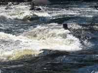 20060617_SauvetageRiviere_072.JPG