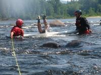 20060617_SauvetageRiviere_084.JPG