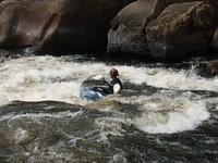 20060819_Tewks_018.JPG
