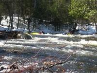 20080419__L'achigan_019.JPG