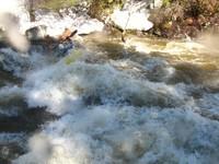 20080419__L'achigan_046.JPG