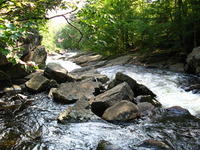 20080830_Beaver_Moesh_003.JPG