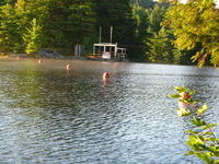20080901_Beaver_Taylorville_003.JPG