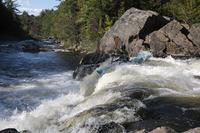 IMG_4236.jpg