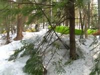 20080420_Bonniebrook_007.JPG