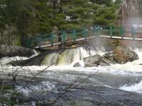 20080420_Bonniebrook_012.JPG