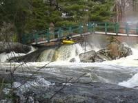 20080420_Bonniebrook_013.JPG