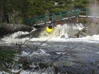 20080420_Bonniebrook_016.JPG