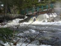 20080420_Bonniebrook_017.JPG