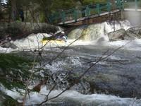 20080420_Bonniebrook_019.JPG