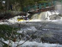20080420_Bonniebrook_020.JPG