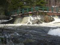 20080420_Bonniebrook_023.JPG