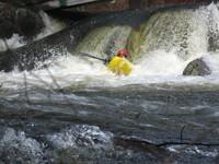 20080420_Bonniebrook_033.JPG