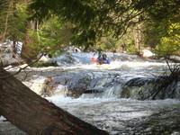 20080420_Bonniebrook_035.JPG