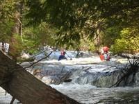 20080420_Bonniebrook_036.JPG