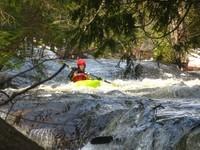 20080420_Bonniebrook_037.JPG