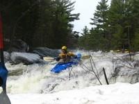 20080420_Bonniebrook_056.JPG