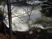 20080420_Bonniebrook_060.JPG