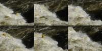 20080517_canyon_034a.jpg