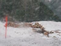 20071227_Coupe-a-Blanc_003.JPG