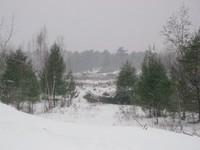 20071227_Coupe-a-Blanc_006.JPG