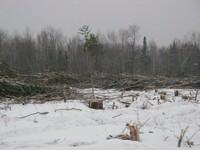 20071227_Coupe-a-Blanc_013.JPG