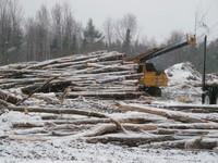 20071227_Coupe-a-Blanc_019.JPG