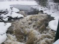 20071227_Coupe-a-Blanc_045.JPG