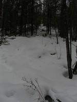 20080119__RivRouge_010.JPG