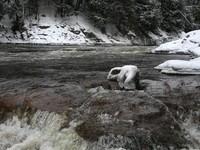 20080119__RivRouge_014.JPG