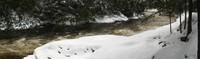 20080119__RivRouge_017a.JPG