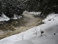 20080119__RivRouge_018.JPG