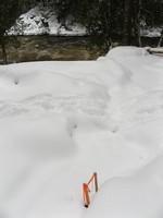 20080119__RivRouge_022.JPG