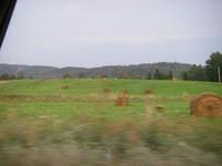 IMGP9841.JPG