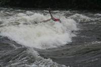 20080531_CoursRivierGr1_0220.JPG