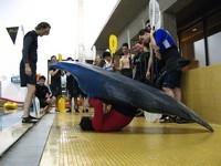 20080220_CCKEVM_CoursPiscine1_012.JPG