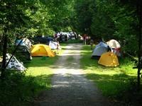 Jamboree 2008
