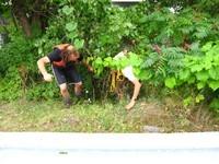IMG_0076.JPG