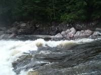 DSCF1446.JPG