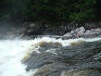 DSCF1448.JPG