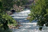 valleyfield0708_029.jpg