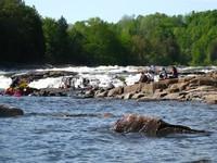 20090523_CoursRiviereGr1_023.JPG