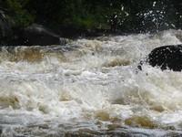 20090812_DesEcorces_008.JPG