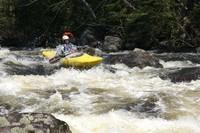 IMG_2378.JPG