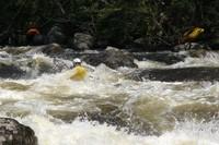 IMG_2379.JPG