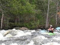 IMG_1900.JPG