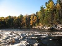 IMG_2969.jpg